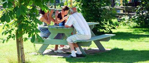 Fikastund vid Malexanders Café